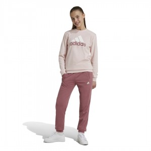 ADIDAS ESSENTIALS BIG LOGO FRENCH TERRY TRACKSUIT SET KIDS GIRLS ΠΑΙΔΙΚΟ ΣΕΤ ΦΟΡΜΑ-IY5432 ADIDAS ESSENTIALS BIG LOGO FRENCH TERRY TRACKSUIT SET KIDS GIRLS ΠΑΙΔΙΚΟ ΣΕΤ ΦΟΡΜΑ-IY5432