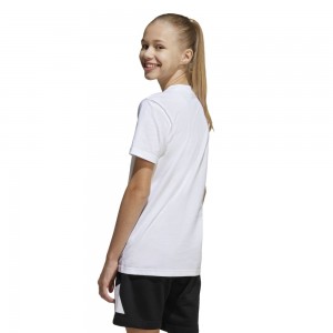 ADIDAS ESSENTIALS TEE SET KIDS ΠΑΙΔΙΚΟ ΣΕΤ-JC9715 ADIDAS ESSENTIALS TEE SET KIDS ΠΑΙΔΙΚΟ ΣΕΤ-JC9715